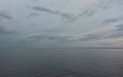 Droga mojej&nbsp;powieści – wkrótce premiera